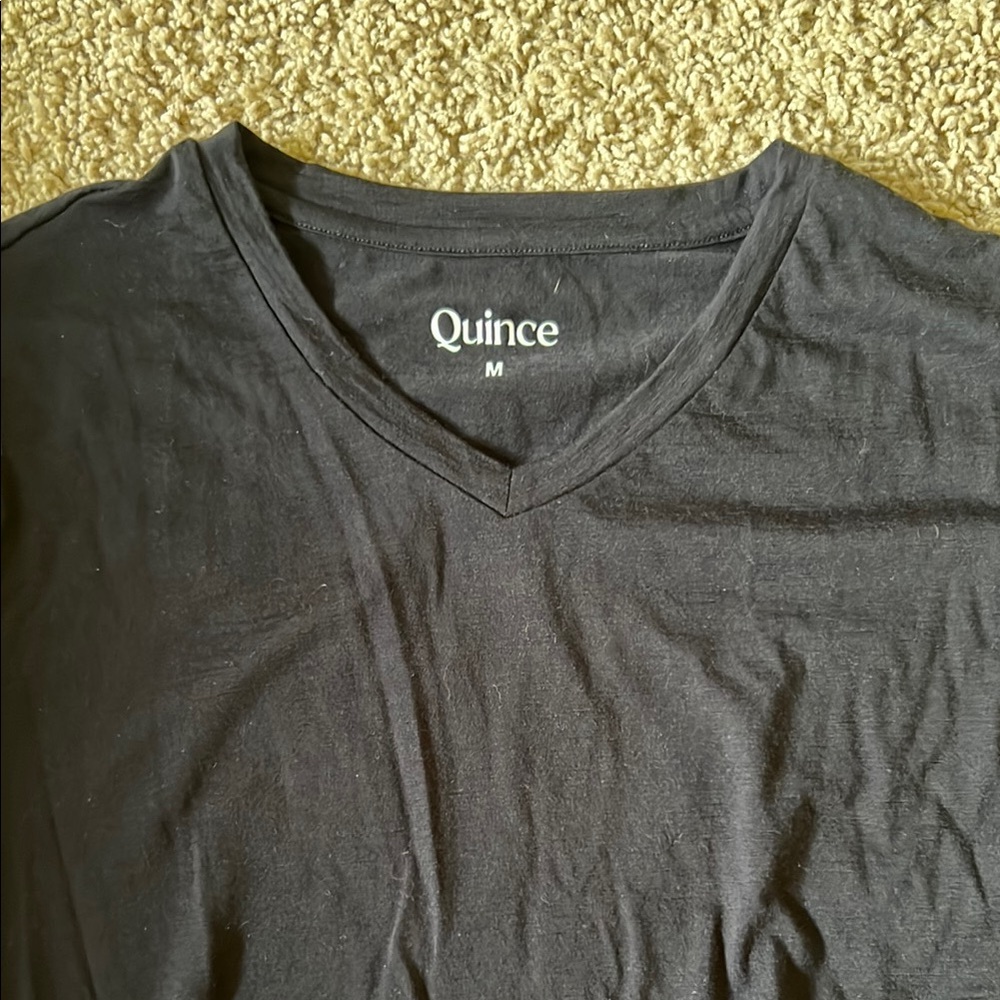 Quince Black V-Neck T-Shirt